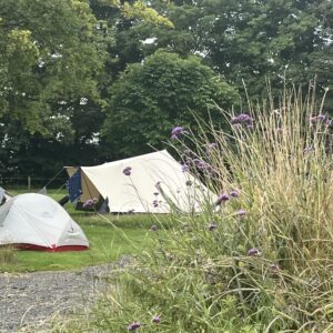 WEI*blij OOGST retreat / Tentplek mét tweedaagse ticket